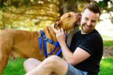 brain-dog-training-review