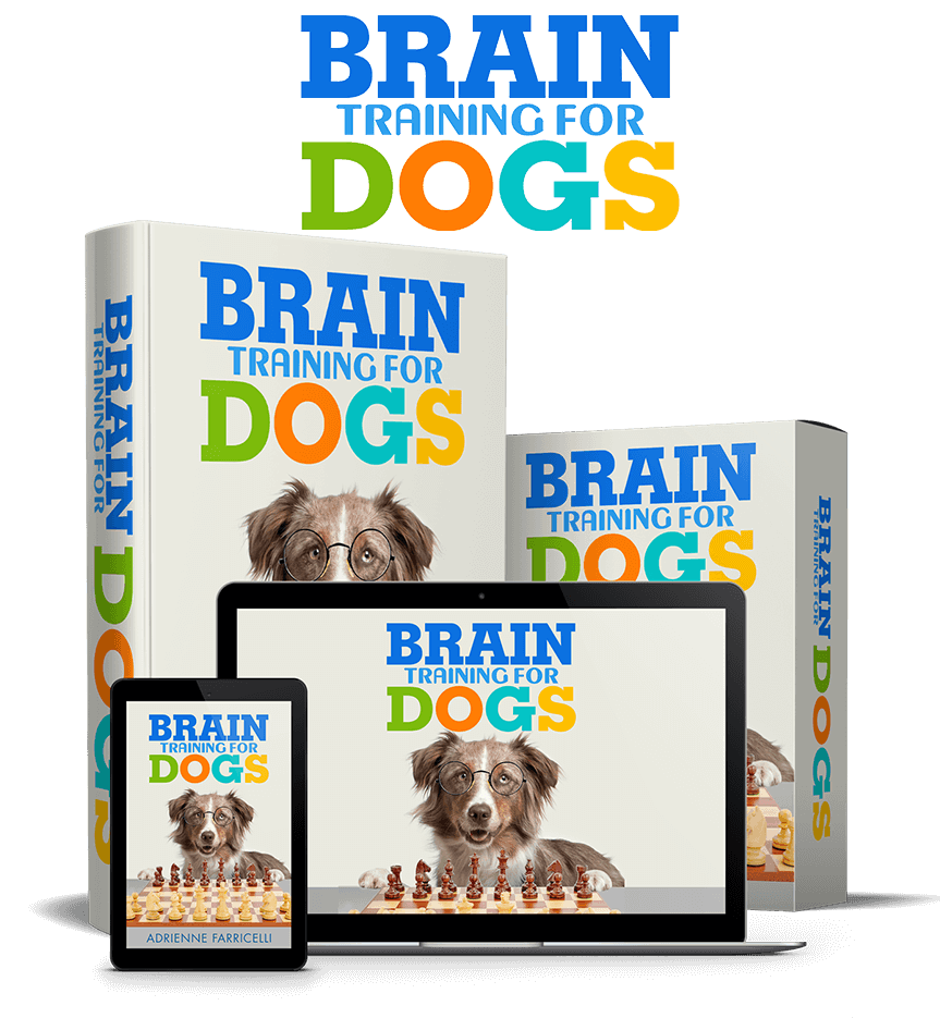 Brain-training-for-dog